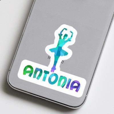 Antonia Sticker Ballerina Laptop Image