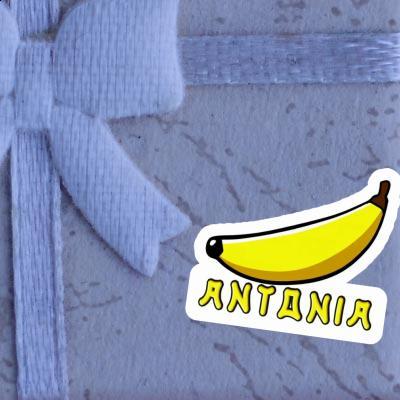 Antonia Sticker Banana Notebook Image