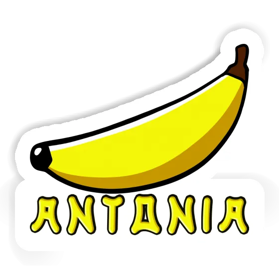 Antonia Sticker Banana Gift package Image