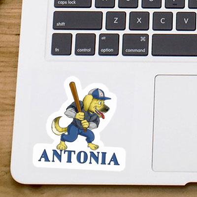 Antonia Sticker Baseball Dog Laptop Image