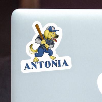 Antonia Sticker Baseball Dog Laptop Image