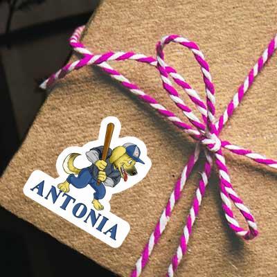 Antonia Sticker Baseball Dog Notebook Image