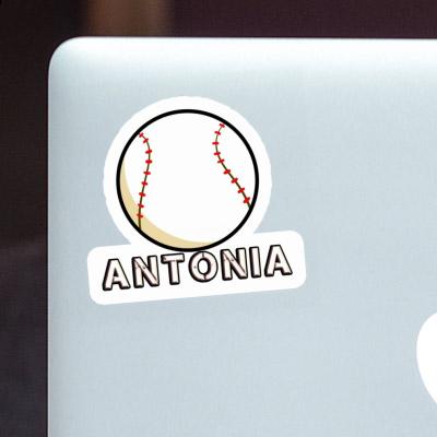 Antonia Sticker Baseball Gift package Image