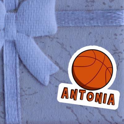 Antonia Autocollant Basket-ball Gift package Image