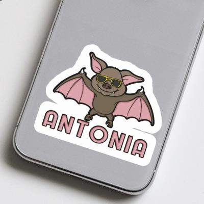 Sticker Fledermaus Antonia Gift package Image