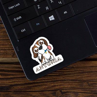 Sticker Beagle Antonia Notebook Image