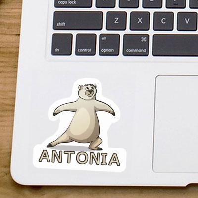 Sticker Yoga Bear Antonia Laptop Image