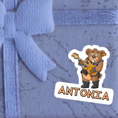 Autocollant Antonia Ours rockeur Gift package Image