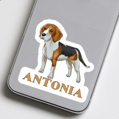 Autocollant Beagle Antonia Laptop Image