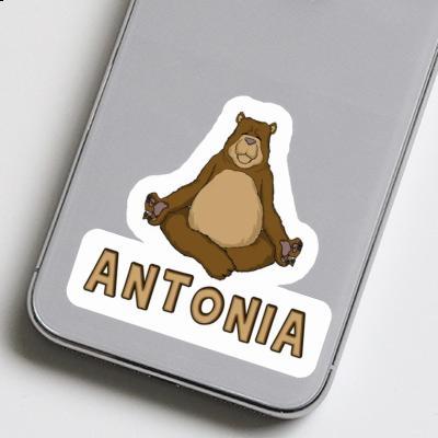 Sticker Antonia Yogi Laptop Image