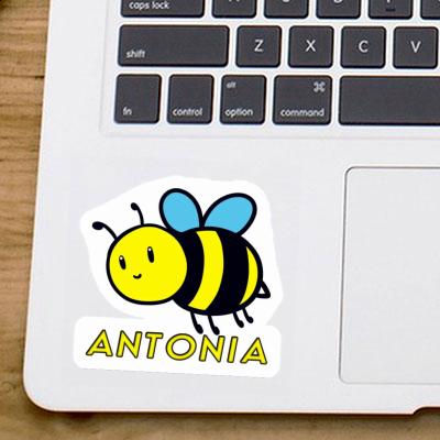 Antonia Sticker Biene Image