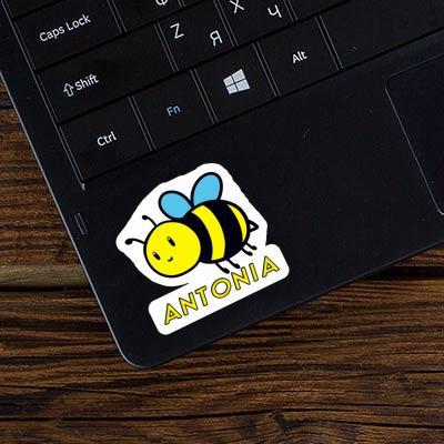 Antonia Sticker Biene Image