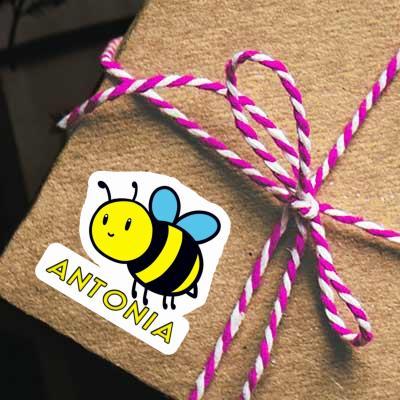 Sticker Antonia Bee Laptop Image