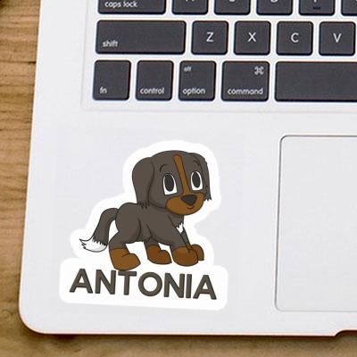 Sticker Mountain Dog Antonia Laptop Image