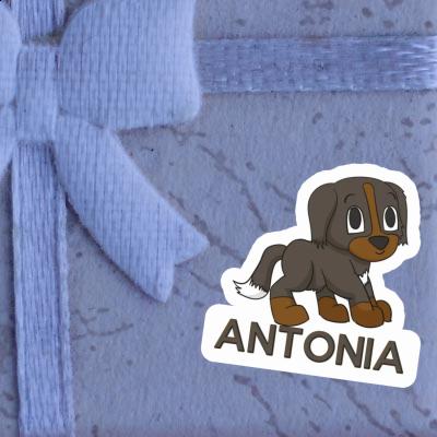 Sticker Mountain Dog Antonia Notebook Image