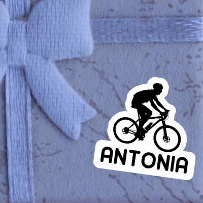 Biker Aufkleber Antonia Gift package Image