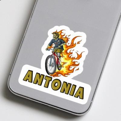 Sticker Freeride Biker Antonia Gift package Image