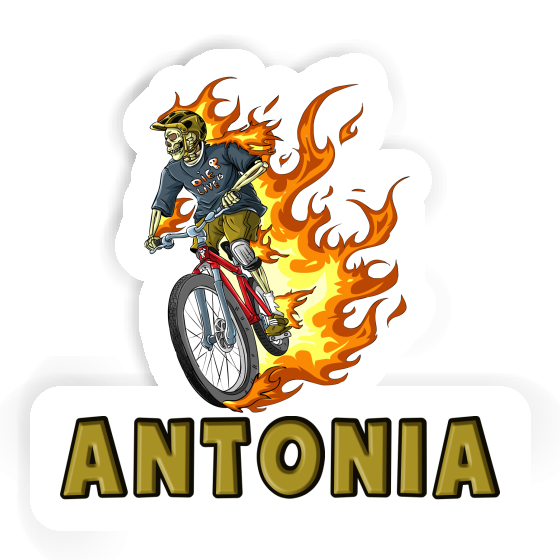 Sticker Antonia Mountainbiker Gift package Image