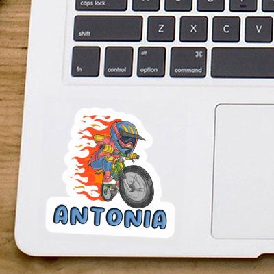 Sticker Antonia Downhiller Laptop Image