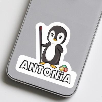 Billardspieler Sticker Antonia Image