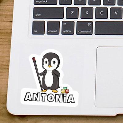 Billardspieler Sticker Antonia Laptop Image