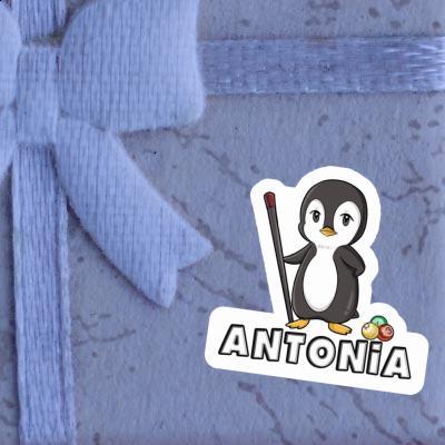 Sticker Antonia Billiards Player Image