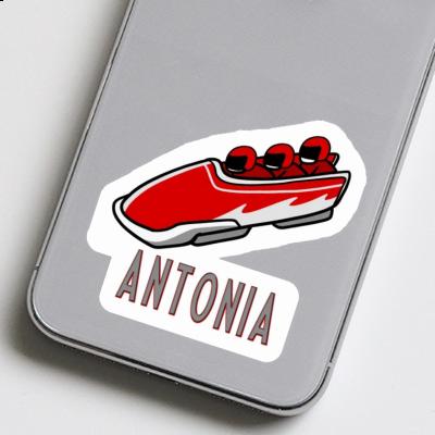 Bob Sticker Antonia Laptop Image