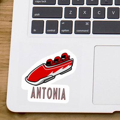 Bob Sticker Antonia Laptop Image