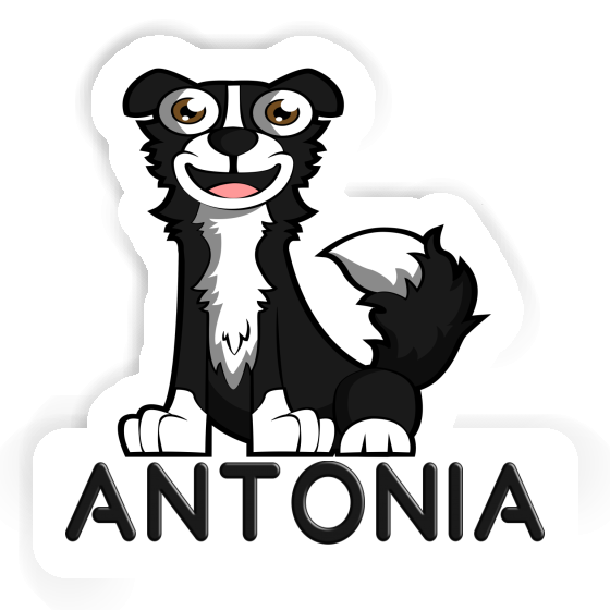 Sticker Antonia Border Collie Notebook Image