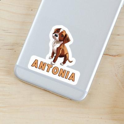 Boxer Dog Sticker Antonia Image