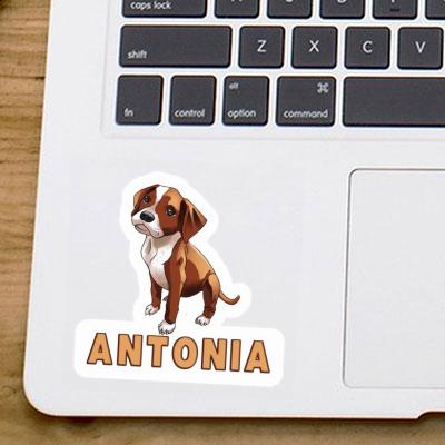 Boxer Dog Sticker Antonia Gift package Image