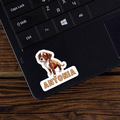 Boxer Dog Sticker Antonia Image