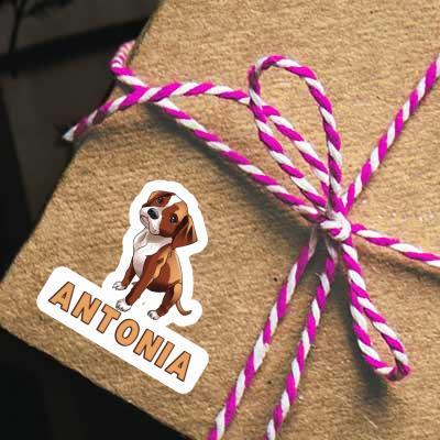 Boxer Dog Sticker Antonia Notebook Image