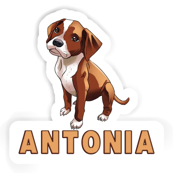 Boxer Dog Sticker Antonia Laptop Image