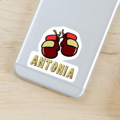 Boxhandschuh Sticker Antonia Laptop Image