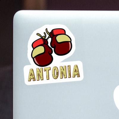 Autocollant Gant de boxe Antonia Notebook Image