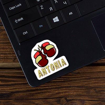 Sticker Antonia Boxing Glove Laptop Image