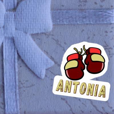 Autocollant Gant de boxe Antonia Notebook Image