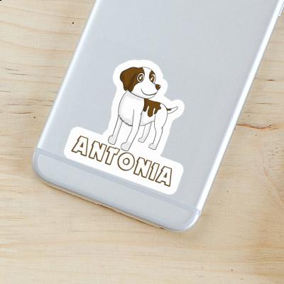 Bretagne Hund Aufkleber Antonia Gift package Image