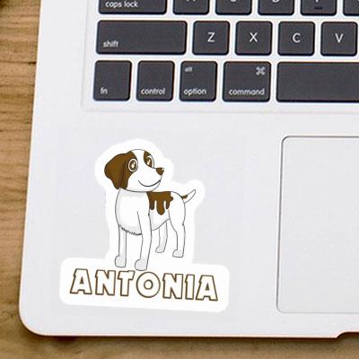 Bretagne Hund Aufkleber Antonia Gift package Image