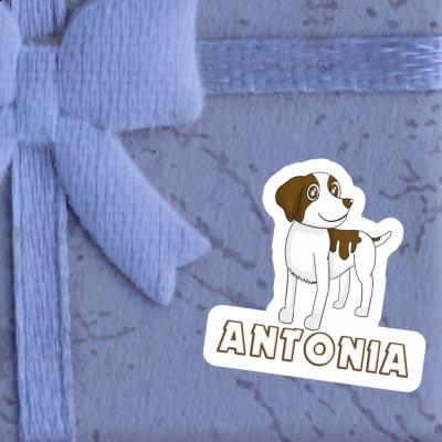 Bretagne Hund Aufkleber Antonia Laptop Image