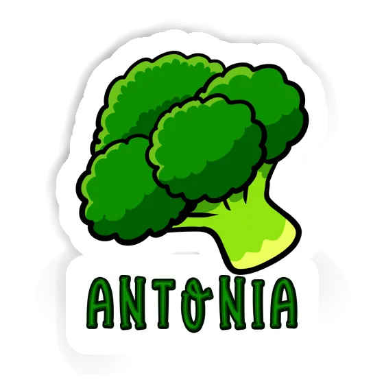 Autocollant Antonia Brocoli Image