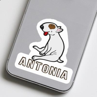 Sticker Antonia Bull Terrier Image