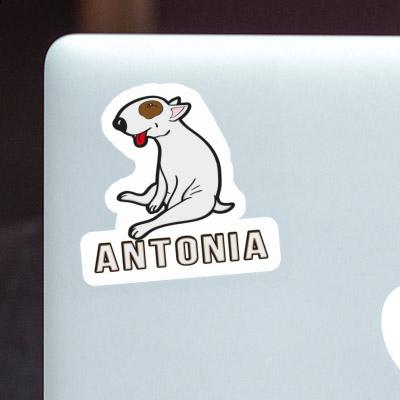 Sticker Antonia Bull Terrier Notebook Image