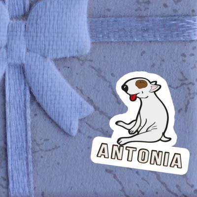 Sticker Antonia Bull Terrier Gift package Image