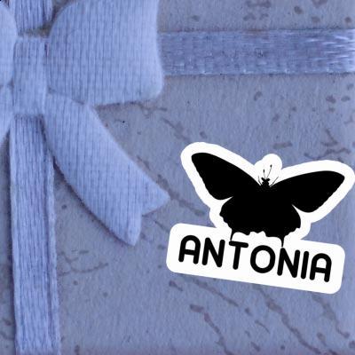 Antonia Sticker Butterfly Gift package Image