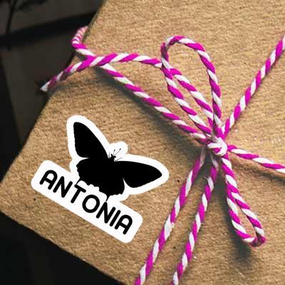 Aufkleber Antonia Schmetterling Gift package Image