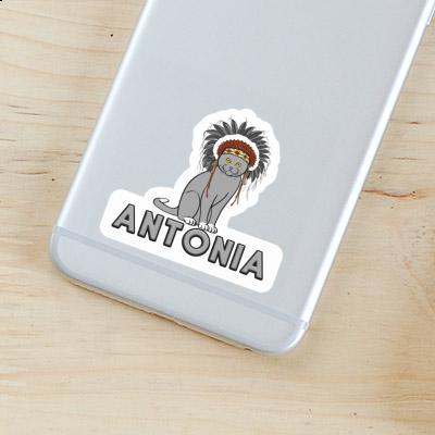 Sticker American Indian Antonia Notebook Image