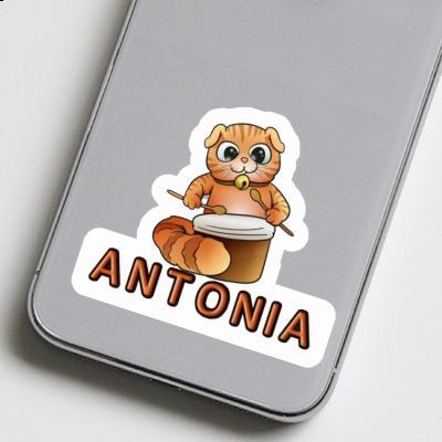 Antonia Sticker Drummer Cat Image