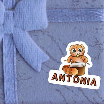 Antonia Sticker Trommler-Katze Notebook Image